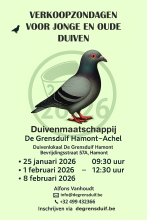 affiche verkoopzondagen